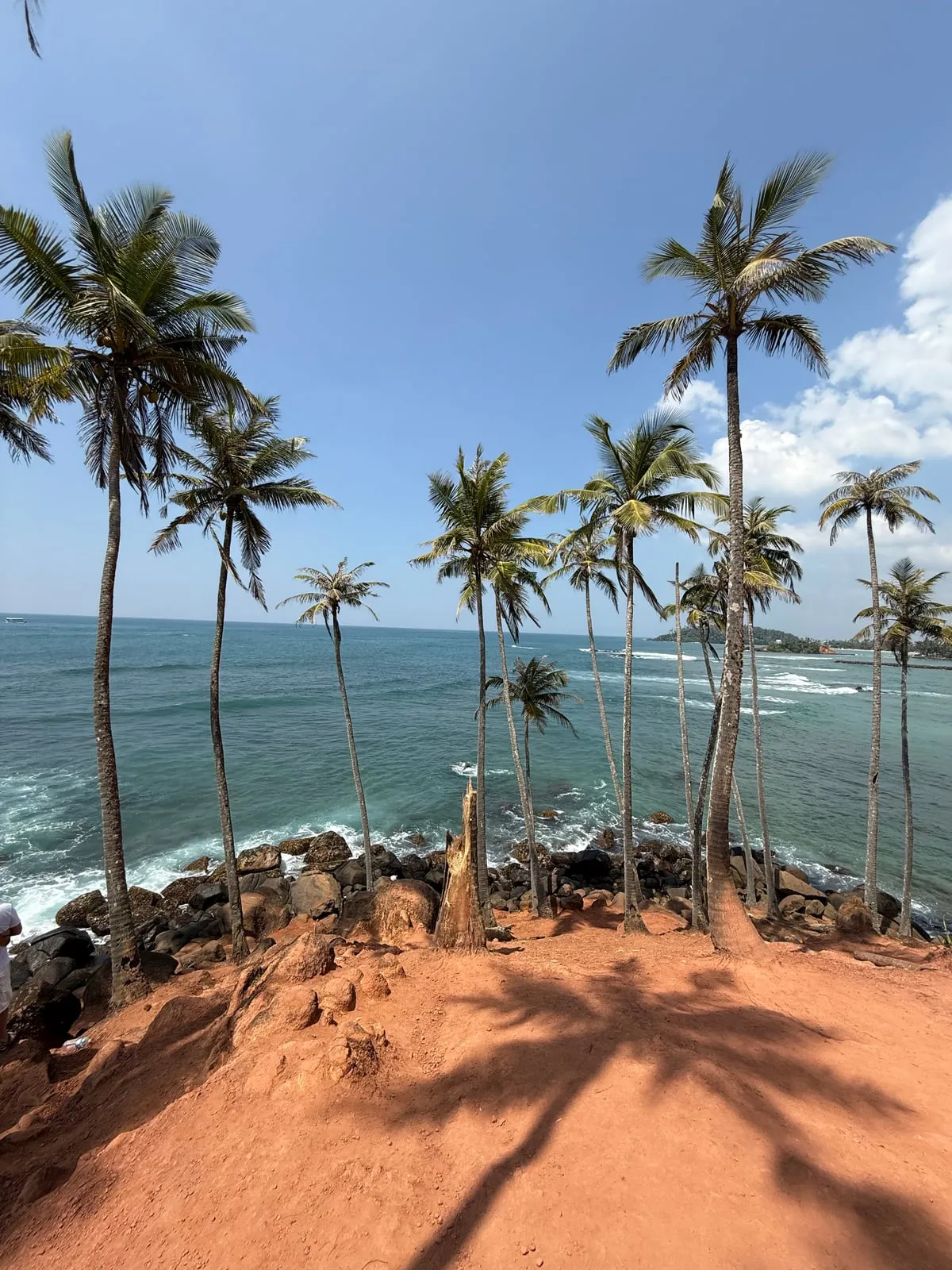 Kookospalmid Coconut Tree Hillil Mirissa lahe kohal