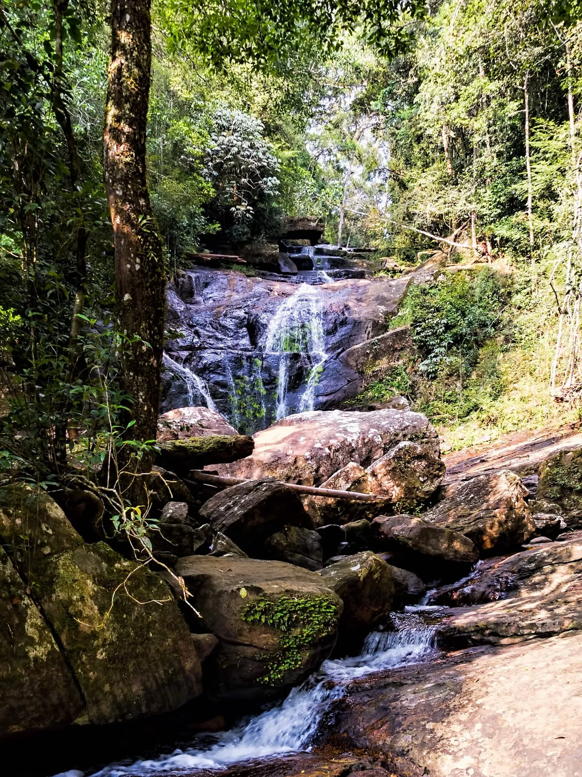 Kosk Sinharaja vihmametsas