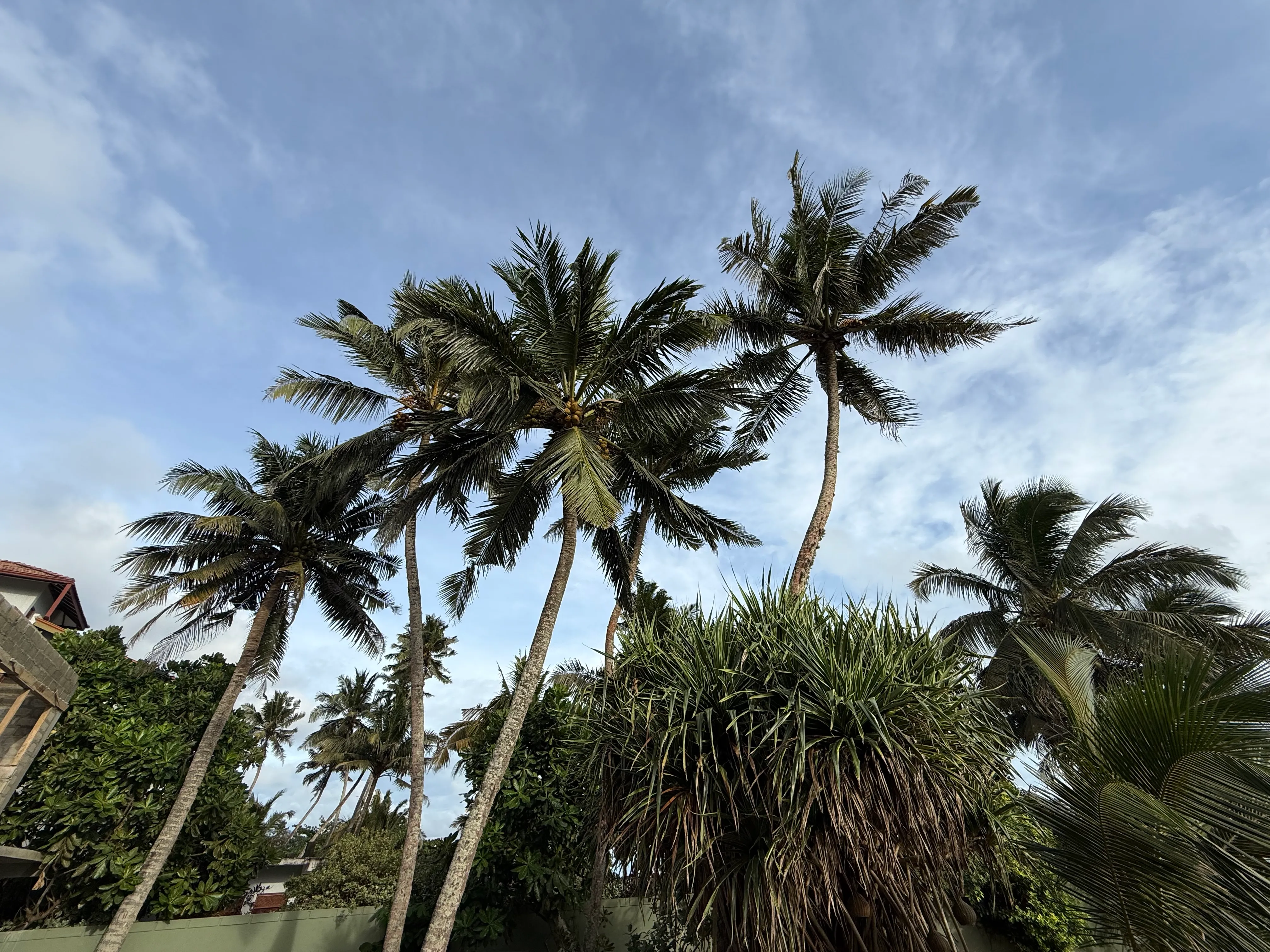 Villa Verner accommodation